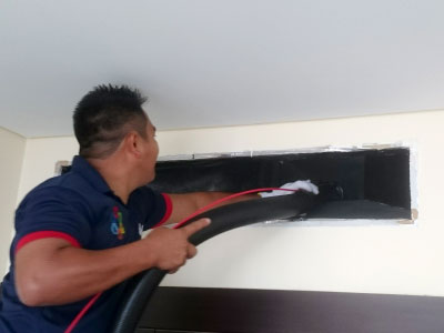 mesee