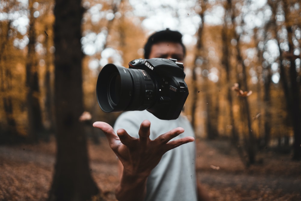 mesee